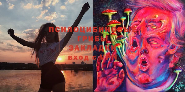 герыч Волоколамск