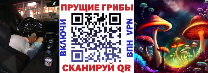 Псилоцибиновые грибы мицелий  Пятигорск 